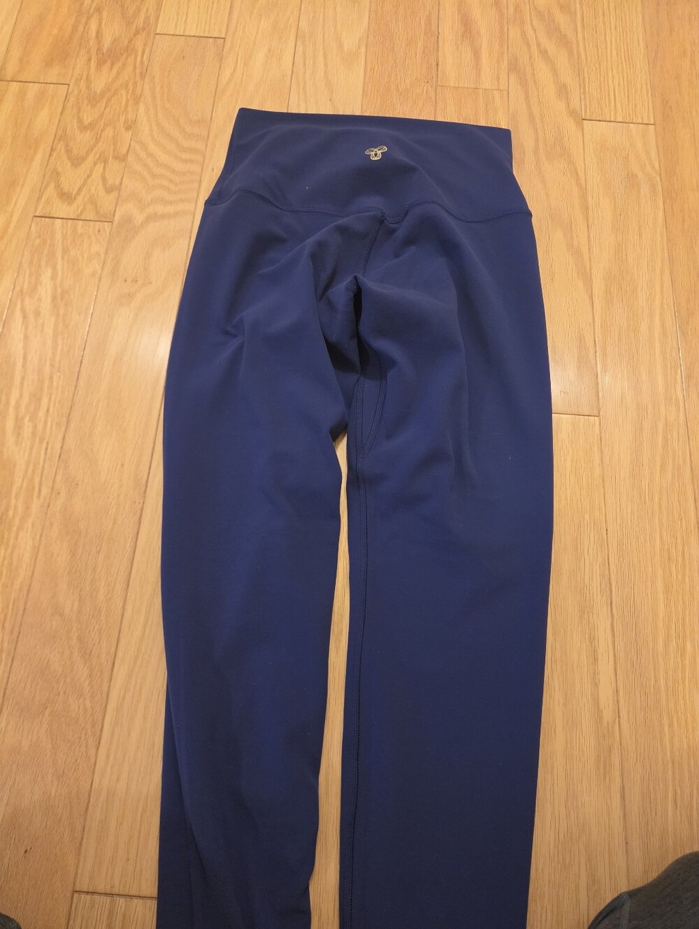 Aritzia Golden Leggings - Size 6 - Bright Blue